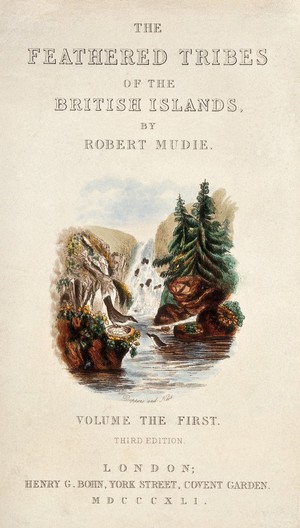 view Title page adorned with two dippers and their nest by a waterfall. Coloured engraving, ca. 1841.