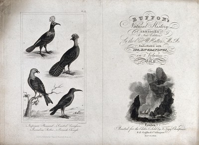 A title page (right) embellished with illustration of people ascending steep cliffs and a book plate (left) of four birds. Engravings by S. Davenport, ca. 1821.