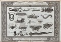 view Insects and reptiles from different parts of the world, including a hooded serpent, a locust and an elephant beetle. Etching by W. Grainger.