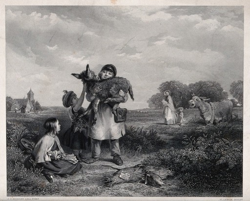 A man picking up a donkey foal with the aid of two young girls with the mare crying out for its foal in the background. Line engraving with etching by H. Lemon after J. C. Horsley.