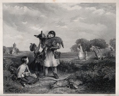 A man picking up a donkey foal with the aid of two girls with the mare crying out for its foal in the background. Line engraving with etching by H. Lemon after J. C. Horsley.