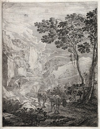 Two mules laden with barrels walking along a mountain path with their drover at a distance behind them. Etching by J. D. Both.
