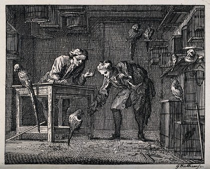 Two men feeding parrots in a shop full with parrots and birdcages. Etching by G. Bickham.