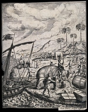 view Elephant drovers and workmen in loincloths driving on an elephant in reins to pull a ship to the shore. Engraving by J. Petrus.