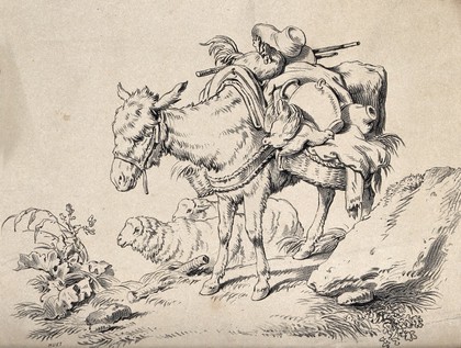 A packed mule on a mountain pass with a sheep in the background. Chalk lithograph.