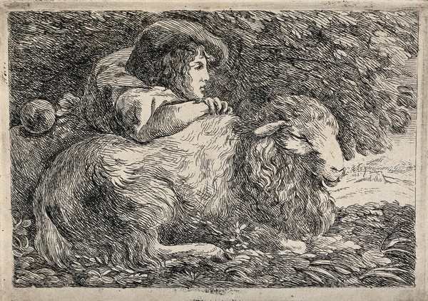 A young man in a large brimmed hat leaning on the back of a sleeping sheep. Etching.