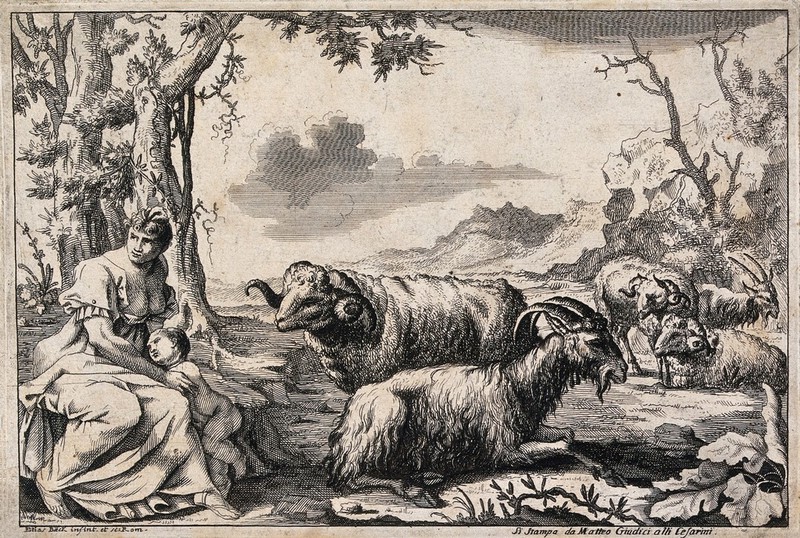 A woman resting near a group of sheep is holding her naked child protectively in her lap. Etching by E. Beck., by Elias Baeck