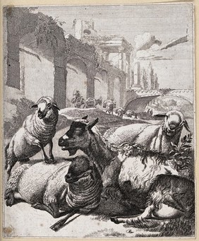 Sheep resting near a river next to an old aqueduct. Etching.