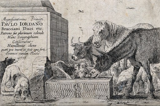 Animals drinking from a fountain dedicated to Paulo Jordano. Etching by J. van den Hecke.