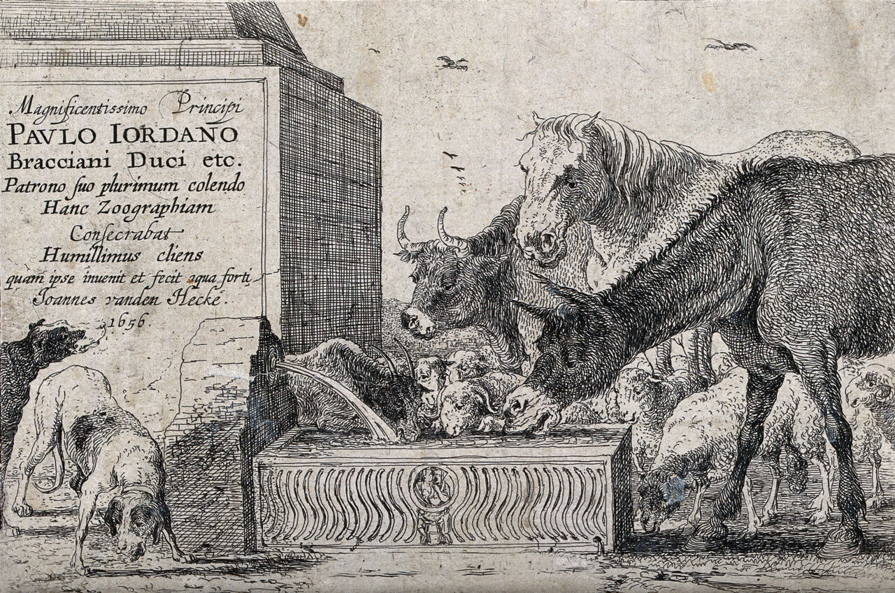 Animals drinking from a fountain. Etching by J. van den Hecke., 1656, by Jan van den Hecke