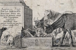 view Animals drinking from a fountain. Etching by J. van den Hecke.