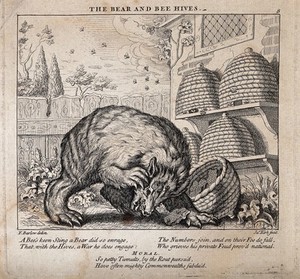 view A bear has overturned a beehive and is attacked by bees. Etching by J. Kirk after F.Barlow for a fable by Aesop.