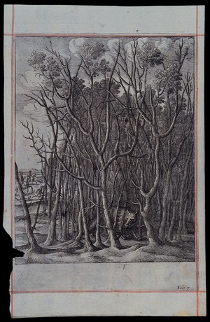 view A fox has taken shelter in a thicket of thorn bushes. Etching by W. Hollar for a fable by J. Ogilby.