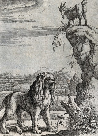 A lion is standing roaring under a mountain crag on which a goat is grazing; illustration for a fable. Etching by R. Gaywood after F. Barlow.
