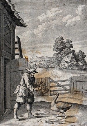 view A peasant is showing a goose a large egg; illustration for a fable. Etching.