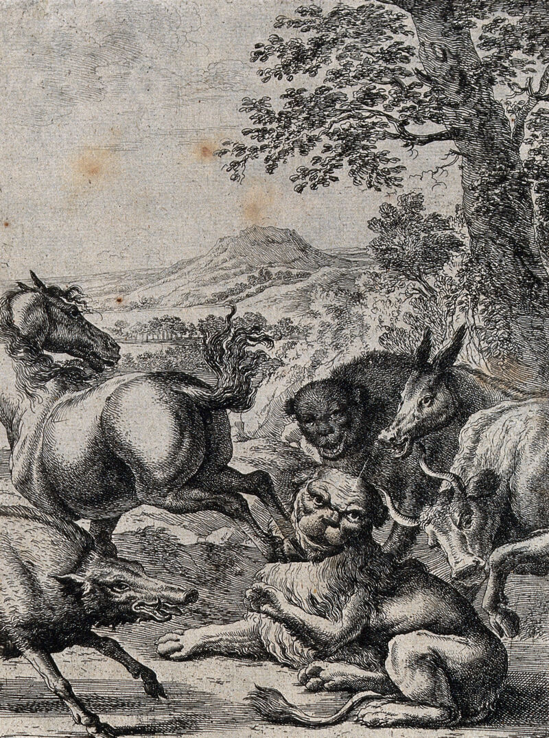 An old lion lying on the ground is kicked by the hind hoof of a horse; illustration of a fable by J. Ogilby. Etching., by John Ogilby