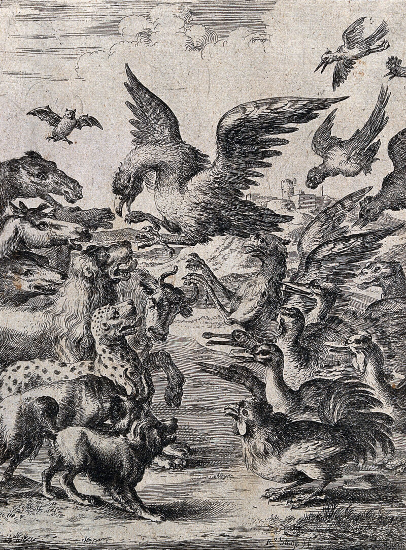 A bird of prey is trying to land among a large crowd of animals; illustration of a fable. Etching by D. Stoop., by Dirk Stoop