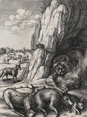 A lion devouring its prey in a cave while its crown and sceptre are perched on a rock at the entrance. Etching by W. Hollar for a fable by Aesop.