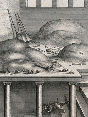 A cat with a mouse in its mouth is descending the stairs in a corn chamber while rats, mice and weasels are running around three piles of corn; illustration of a fable by Aesop. Etching by W. Hollar.