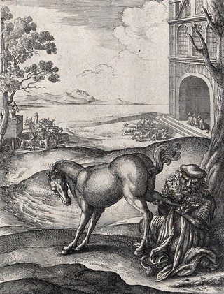 A lion dressed as a doctor is examining a horse's hoof; illustration of a fable by Aesop. Etching.
