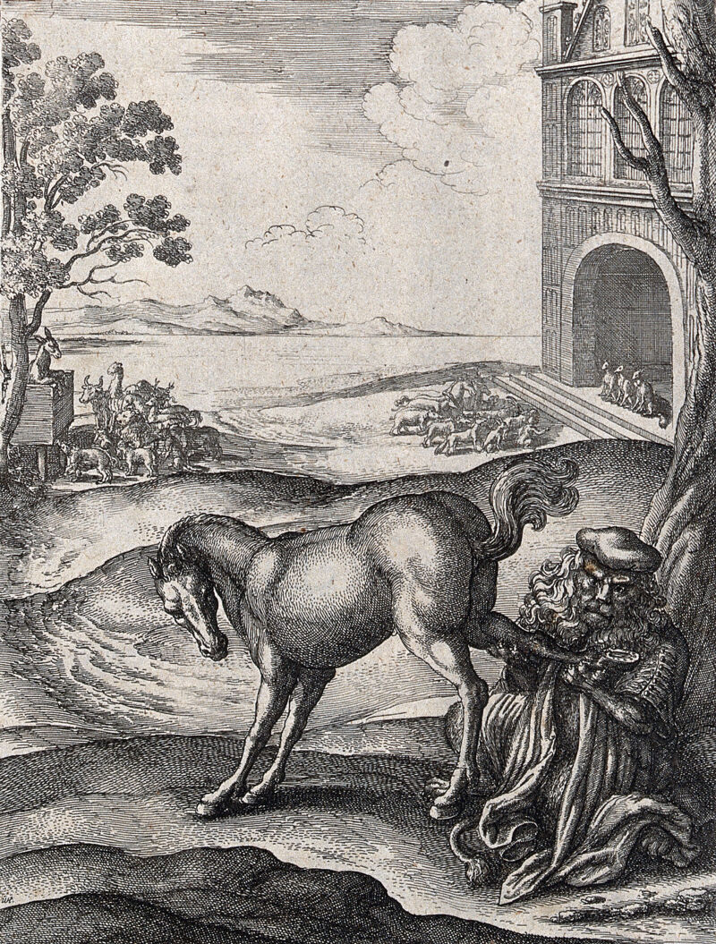 A lion dressed as a doctor is examining a horse's hoof; illustration of a fable by Aesop. Etching., [between 1600 and 1699], by Aesop