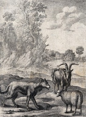 A wolf and a lamb are standing in a wooded landscape with a goat behind them. Etching by W. Hollar for a fable by Aesop.