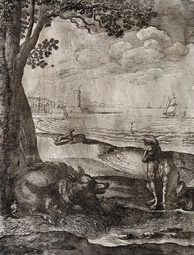 A wolf is sitting opposite a sow with its young under a tree while a boar and a wolf are fighting in the background; illustration of a fable by Aesop. Etching.