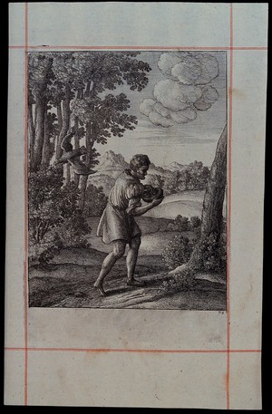 view A peasant is carrying the nest of a nightingale, which is is sitting on a bush and is about to be swooped by a hawk; illustration of a fable by Aesop. Etching by W. Hollar.