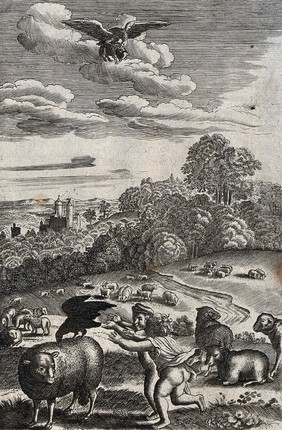 Two children are running towards a sheep with a crow on its back while an eagle in the sky above bears a lamb in its claws. Etching by W. Hollar for a fable by Aesop.