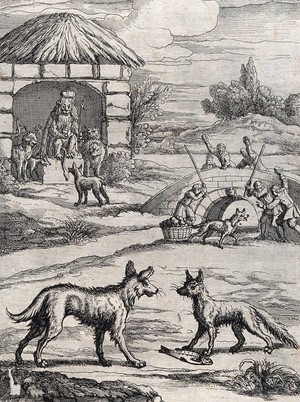 view A fox and a dog are facing each other over a dead fish lying on the ground; illustration of a fable. Etching.