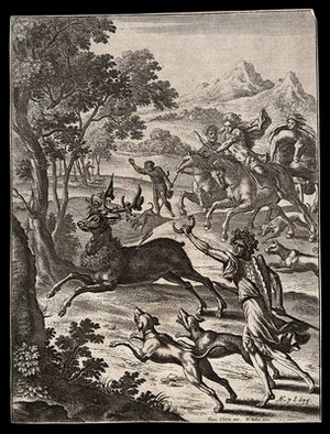 view Ascanius hunting the pet stag of Silvia. Etching by W. Hollar, 1652, after F. Cleyn.