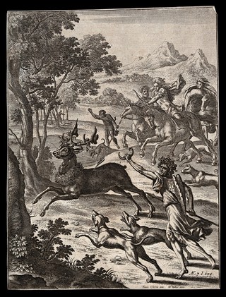 Ascanius hunting the pet stag of Silvia. Etching by W. Hollar, 1652, after F. Cleyn.