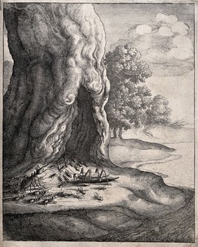 Ants are swarming around the base of a hollow tree while the queen ant is talking to a grashopper. Etching by W. Hollar for a fable by J. Ogilby.