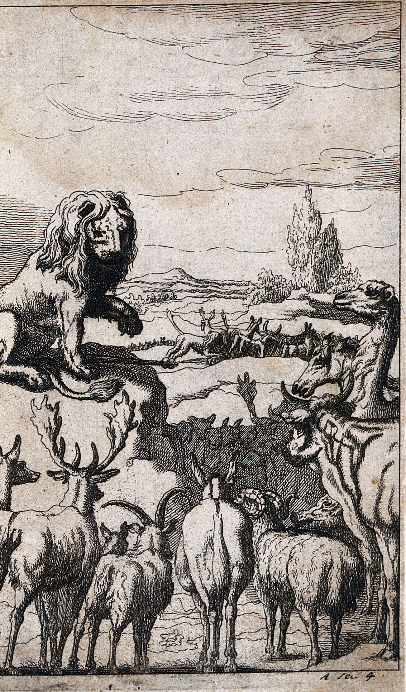 A Lion Is Standing On A Rock Surrounded By A Large Group Of