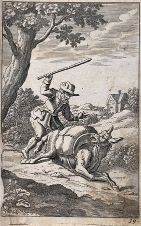 A peasant is beating a heavily loaded ass with a stick to encourage it to go on; illustration of a fable. Etching.