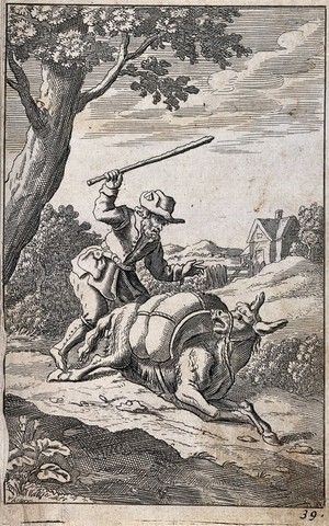 view A peasant is beating a heavily loaded ass with a stick to encourage it to go on; illustration of a fable. Etching.