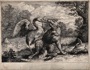 view A wolf is sitting on the shore of a lake while a crane extracts a bone from its throat; illustration of a fable by Aesop. Etching.