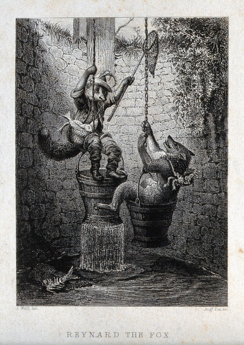 Reynard the fox is lowering himself into a well by sitting on the well-bucket, while the wolf is raised out of the well by the same move. Etching by A. Fox after J. Wolf., 1853, by Joseph Wolf