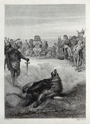 view A fox and a wolf are fighting each other in a pit with a crowd of animals looking on. Etching by A. Fox after J. Wolf.