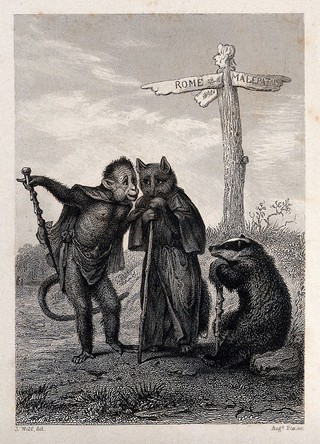 A fox, a monkey and a badger are deliberating directions at a crossing. Etching by A. Fox after J. Wolf.