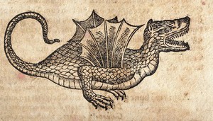 view A winged dragon. Woodcut.