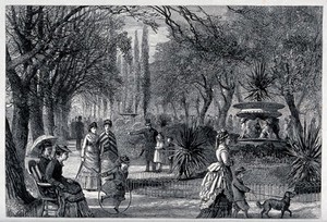 view A zoological garden. Wood engraving by H. Linton.