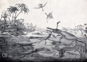 view Animals and plants of Dorset in the Liassic period.. Lithograph by G. Scharf after H.T. de la Bèche..