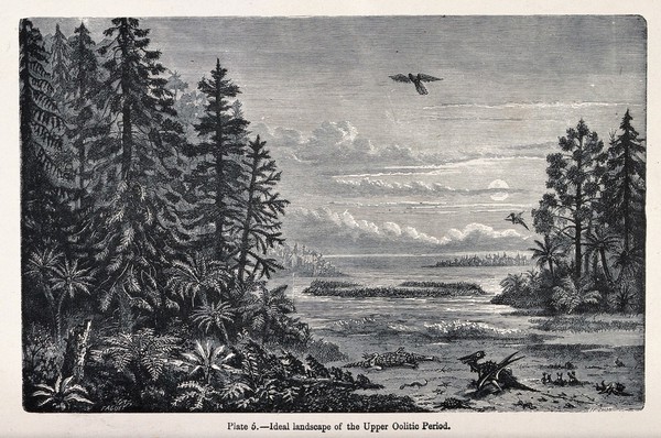 An ideal landscape of the upper oolitic period with reptiles and birds. Wood engraving by F. Trichon after A. Faguet.