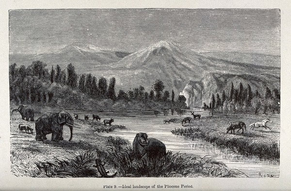 An ideal landscape of the Pliocene period with elephants, hippopotami and horses. Wood engraving by Riou.