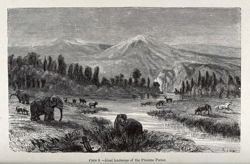 An ideal landscape of the Pliocene period with elephants, hippopotami and horses. Wood engraving by Riou., by Édouard Riou