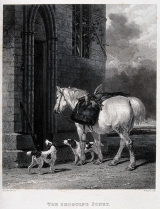 A white pony and two dogs (field spaniels?) wait by a carved stone (church?) doorway. Engraving by W. Raddon after A. Cooper, 1827.