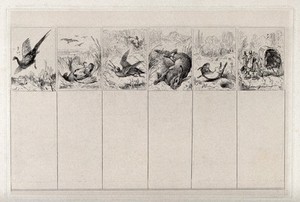 view Game and hunting, six separate images: a stricken pheasant falling to the ground; a dead grouse (?); an injured snipe (?); a dead hare; a stricken rabbit; two huntsmen on foot carrying rifles and accompanied by dogs, with a covered horse-drawn wagon full of dead game. Etching after E.H. Landseer, 1820/1848.