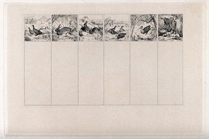 view Game and hunting, six separate images: two pheasants; a hare; two rabbits; four grouse (?); a snipe (?); two dogs guard a brace of dead game hanging from the branch of a tree. Etching after E.H. Landseer, 1820/1848.
