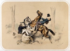 view Two horses and their riders collide head-on, in a park (?). Coloured lithograph by A. Strassgschwandtner after himself, ca. 1860.